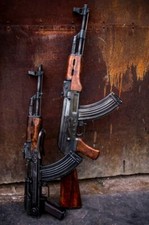 TOILE TABLEAUX  ARME A FEU