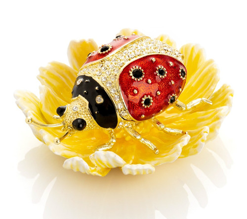Coccinelle keren kopal sur - kopal,
