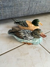 Décoration Canard En Terre