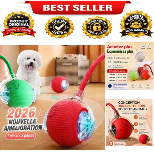 Balle interactive pour chien