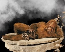 Sasquatch wall art & Racoon at