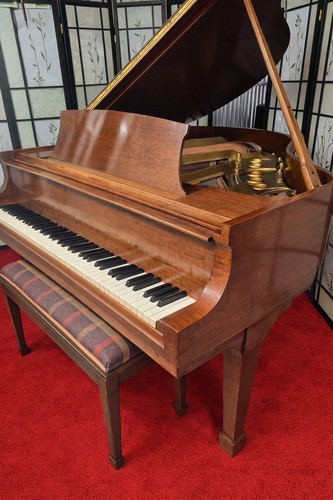 Steinway baby grand walnut - grand,