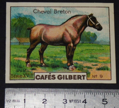 Chromo 1936 cafes - chromo, race