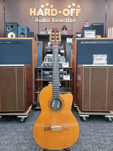 Gibson usa chet atkins - gibson, /