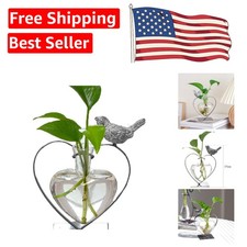 Creative Plant Terrarium with