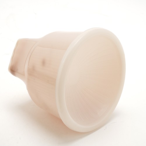 Gary fong lightsphere - gary,