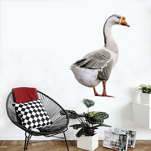 Canard mignon c90 animal - mignon,