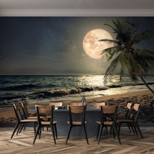 Plage Peint 368x254cm Lune Vue