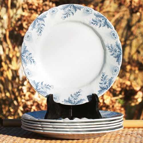 Ensemble assiettes plates - ensemble, 6