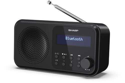 P420 radio numérique - (bk),