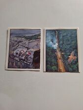 images panini WWF Animaux à sauver