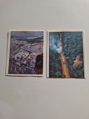 Images panini wwf animaux - images,