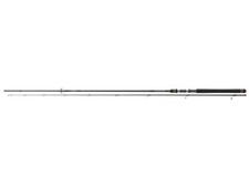 Daiwa Team Air Seatrout 3,00m 10-35g Meerforellenrute Canne à Spinning Mefo Spin