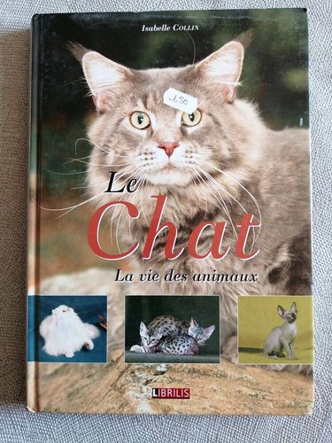 Chat vie animaux - de,