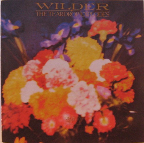 The teardrop explodes wilder - teardrop,