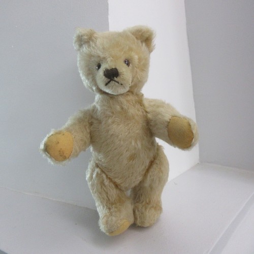 Ours steiff blanc periode 1950 - ours,