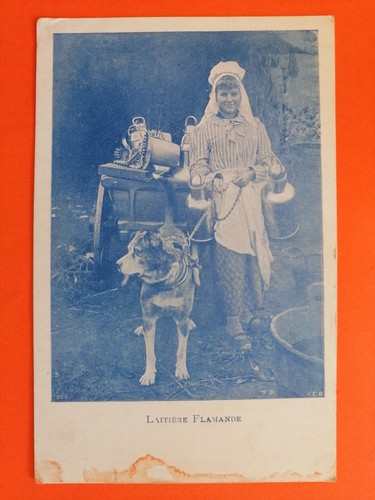 Cpa belgique chariot - chariot, chien