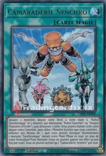 Yu-Gi-Oh! Camaraderie Synchro : UR L5DD-FRY05