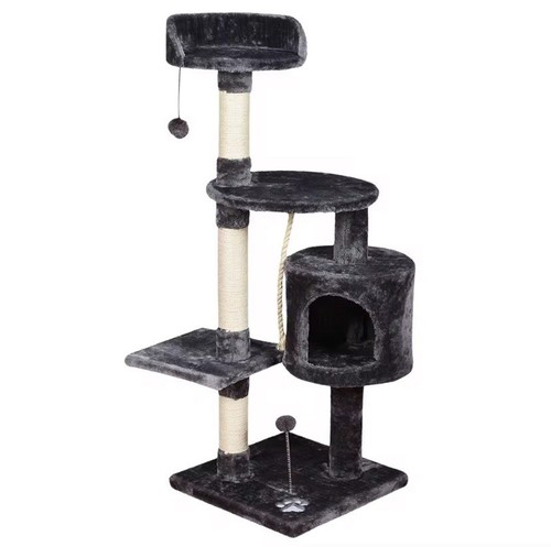Chat accessoires - chat,