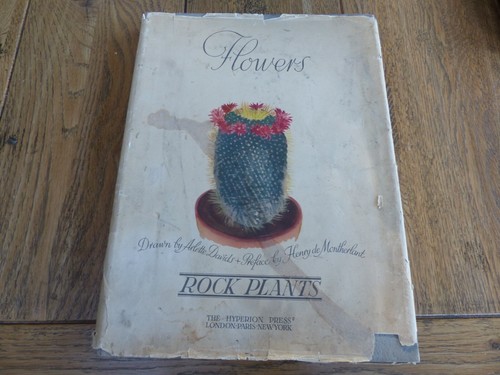 Arlette davids flowers - flowers,
