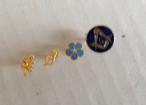 Lot pins acacia myosotis - lot, acacia,