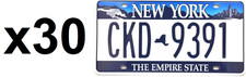 Lot de 30 plaques d'immatriculation américaines en métal NEW YORK STATE USA LF13