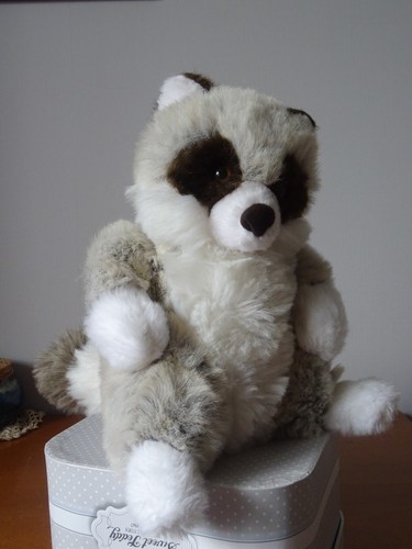 Doudou raton laveur thiennot - raton,