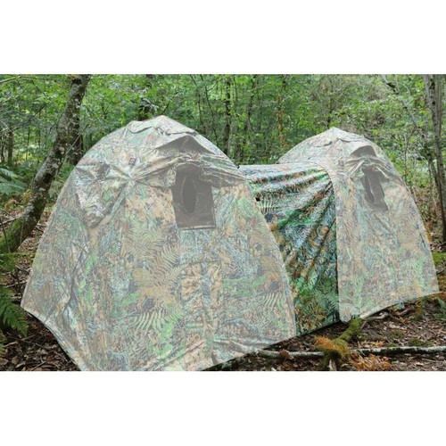 Tragopan tunnel connexion - tragopan,