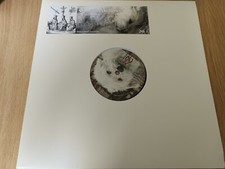 12"  Inquisitive Judgement –