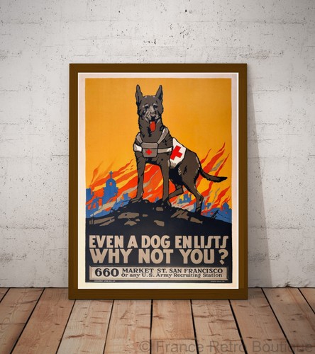 Poster affiche even dog - a,