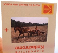 Diapositive d'agence (Slide)