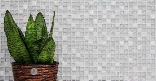 Mosaïque carreau translucide