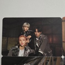 Album de cartes photo Stray