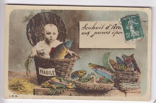 Cpa animal fantaisie - animal,