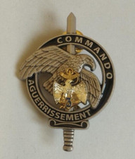 Insigne du brevet d'aguerrissement commando du fort de Penthièvre/3°RIMa