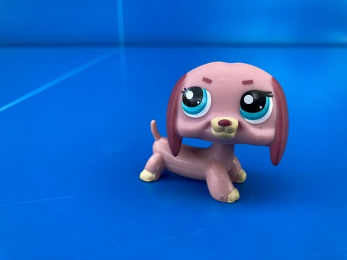 Authentique littlest petshop - littlest,