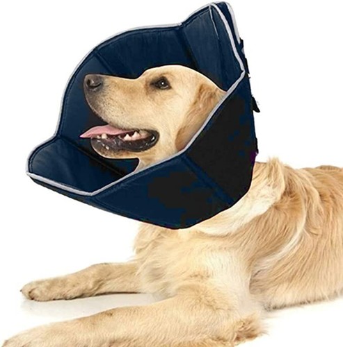 Wingfly collerette pour chat - wingfly,