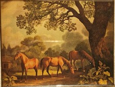 Belle Gravure Ancienne En Inclusion Chevaux Scène Campagne Anglaise 