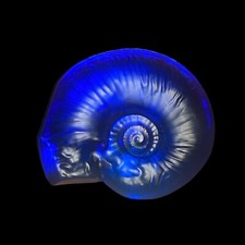Ancien Nautilus / Ammonite En