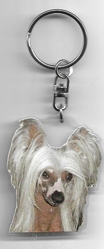 Chien chinois porte cles - cles, /
