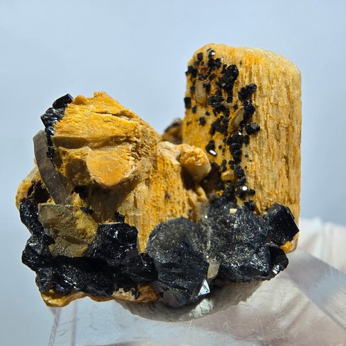 Spécimen rare tourmaline - spécimen,
