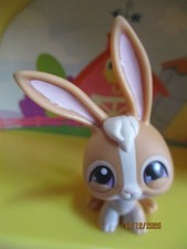 Petshop Lapin #28 / Avec