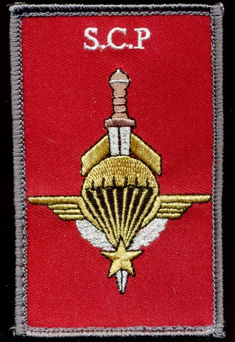 Parachutiste section des - parachutiste,