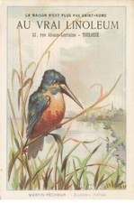 CHROMO #MK41071 AU VRAI LINOLEUM OISEAU MARTIN PECHEUR TOULOUSE