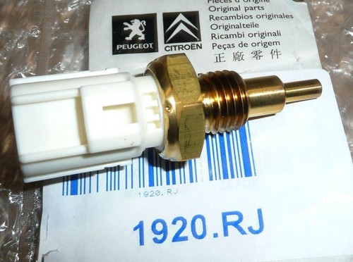Sonde température eau - sonde,