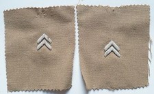 INSIGNE GRADE PATTES DE COL