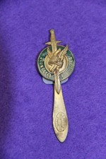 INSIGNE  POLITIQUE DES