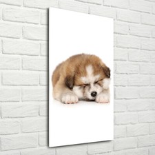 Tulup Image Sur Verre Acrylique Tableaux 70x140 - Chiot Akita