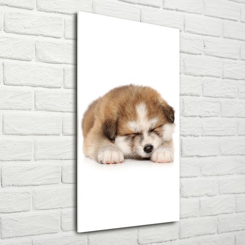 Tulup image sur verre - sur,
