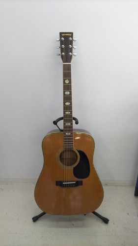 Westone acoustic guitar - westone, w-40